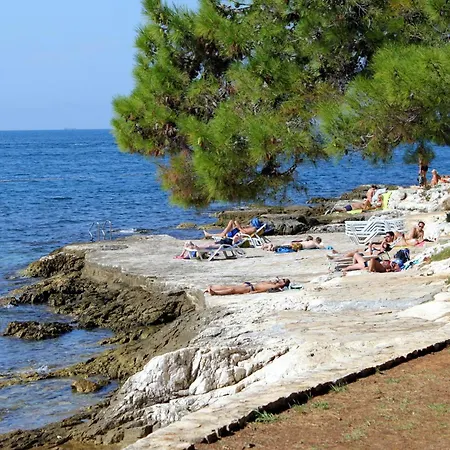 Apartamento 7137b Poreč