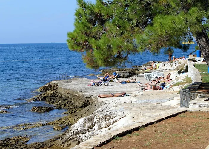 Apartamento 7137b Poreč